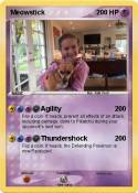 Meowstick