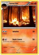 forest fire
