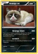 Grumpy cat