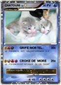 CHATOUNI