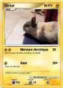 Kit-kat