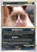 Grumpy Cat