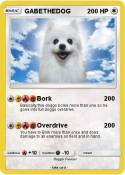 GABETHEDOG