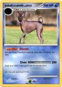 xoloitzcuintli