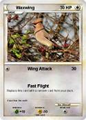Waxwing