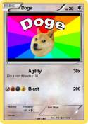 Doge