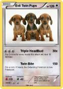Evil Twin Pups