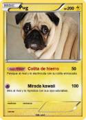 Pug