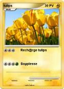 tulips