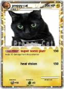 preppy cat