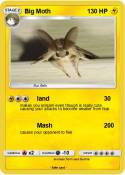 Big Moth