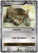 Cute Cat