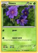 flowers