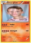 stinus spruit