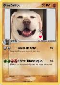 GrosCaillou