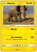 Elephant