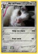 My cat Pablo