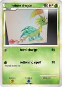 nature dragon