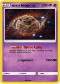 space hedgehog