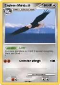 Eaglese (Male)