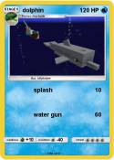 dolphin