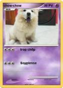 chow-chow
