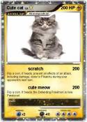 Cute cat