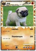 pug