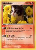 mimi chaton