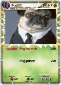 Pug!!!!!