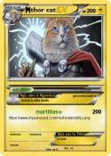 thor cat