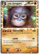 Cute Orangutan