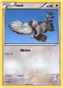 Hawk