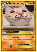 gabe the cat