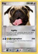 Pug