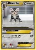 Cute Cat