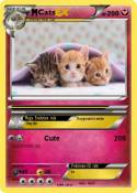Cats