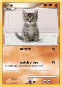 Kitten