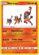litten team