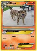 Dogo