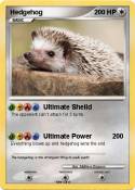 Hedgehog