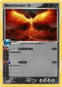 Muhd Darwish
