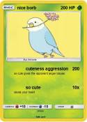 nice borb