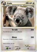 Koala