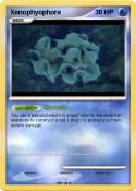 Xenophyophore