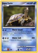 SuperTurtle