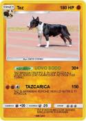 Taz