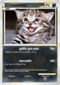 chat terror