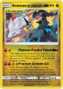 Reshiram et Zek