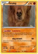 lucydog